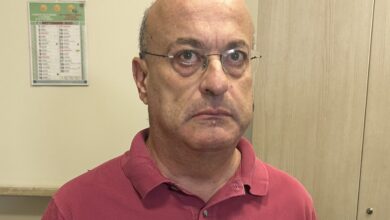 pignoli