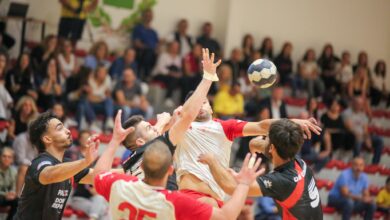 pallamano teramo handball