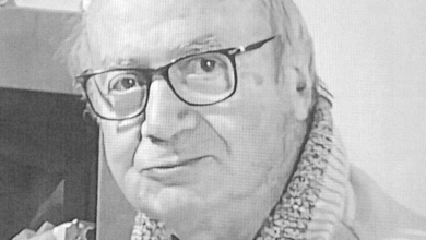 dino taraschi