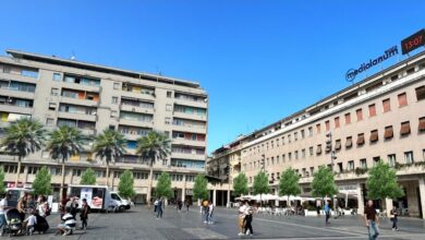 alberi piazza salotto