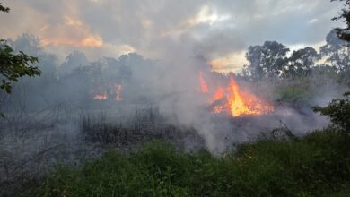 incendio città sant'angelo