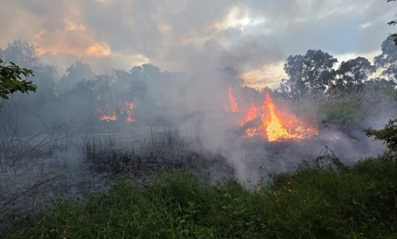 incendio città sant'angelo
